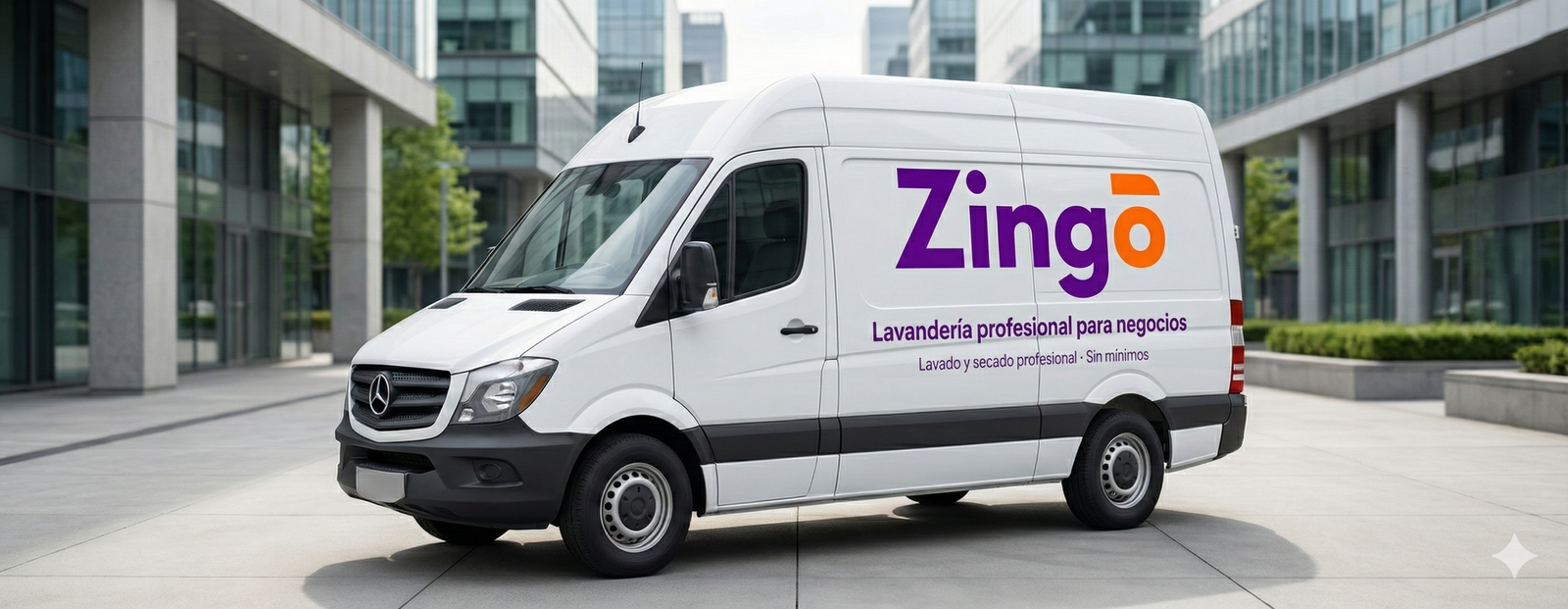 Zingo Servicio de Recogida y Entrega